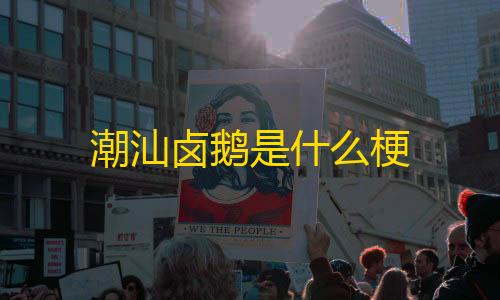 吃鸡 和平精英辅助潮汕卤鹅是什么梗